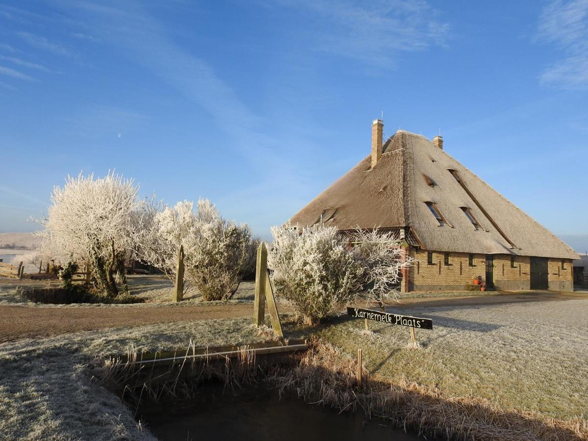 Zoute Bries, In Natuurgebied En Vlakbij Het Strand Callantsoog Ngoại thất bức ảnh